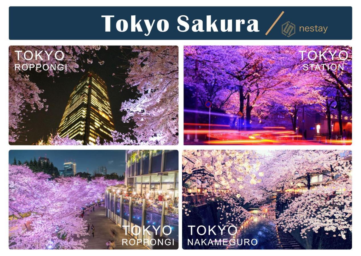 Nestay Villa Tokyo Shinjuku Kültér fotó